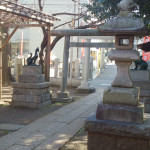 藤神神社